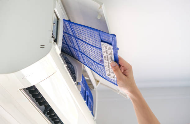 Best Residential Air Duct Cleaning  in Lanett, AL