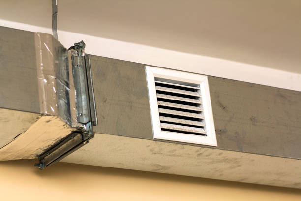 Best Affordable HVAC Duct Cleaning  in Lanett, AL